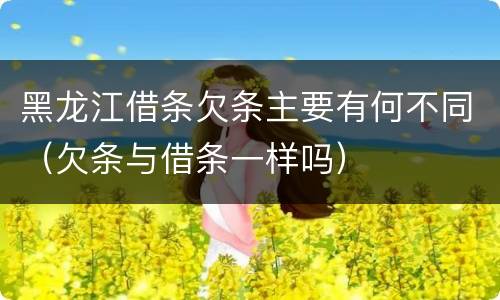 黑龙江借条欠条主要有何不同（欠条与借条一样吗）