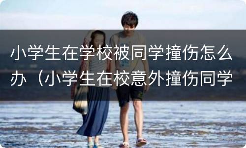 小学生在学校被同学撞伤怎么办（小学生在校意外撞伤同学）