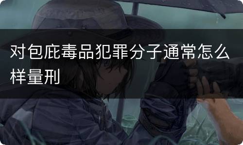 对包庇毒品犯罪分子通常怎么样量刑