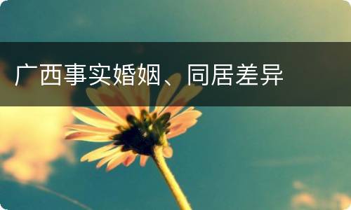 广西事实婚姻、同居差异