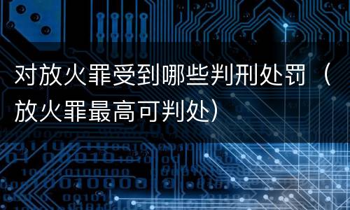 对放火罪受到哪些判刑处罚（放火罪最高可判处）