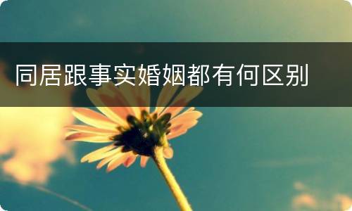 同居跟事实婚姻都有何区别