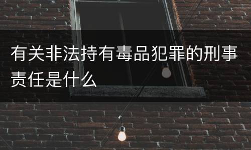 有关非法持有毒品犯罪的刑事责任是什么