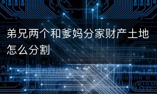 弟兄两个和爹妈分家财产土地怎么分割