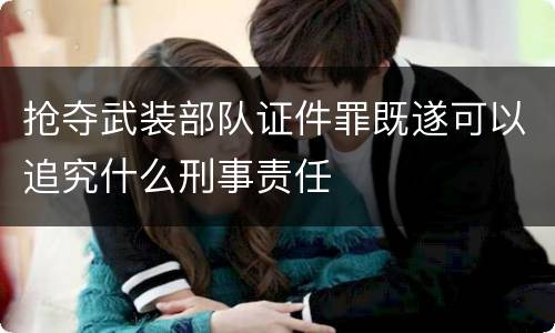 抢夺武装部队证件罪既遂可以追究什么刑事责任