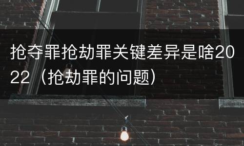抢夺罪抢劫罪关键差异是啥2022（抢劫罪的问题）