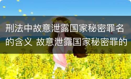 刑法中故意泄露国家秘密罪名的含义 故意泄露国家秘密罪的主体是什么