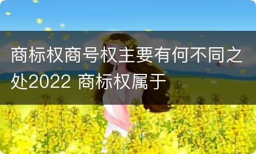 商标权商号权主要有何不同之处2022 商标权属于