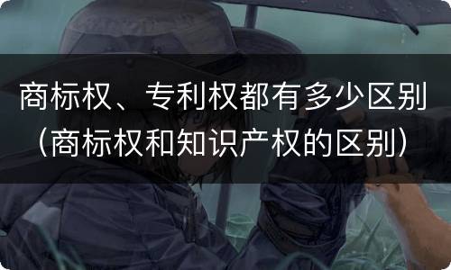 商标权、专利权都有多少区别（商标权和知识产权的区别）