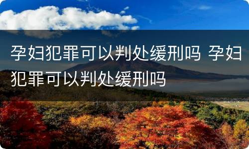 孕妇犯罪可以判处缓刑吗 孕妇犯罪可以判处缓刑吗
