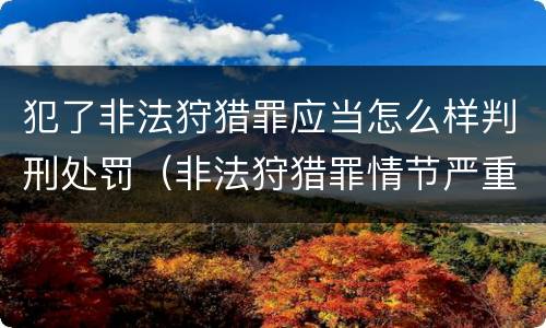 犯了非法狩猎罪应当怎么样判刑处罚（非法狩猎罪情节严重认定）