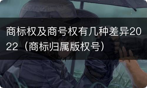 商标权及商号权有几种差异2022（商标归属版权号）
