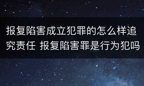 报复陷害成立犯罪的怎么样追究责任 报复陷害罪是行为犯吗