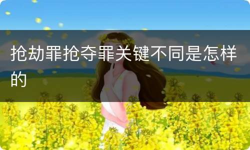 抢劫罪抢夺罪关键不同是怎样的