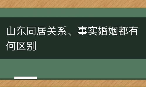 山东同居关系、事实婚姻都有何区别