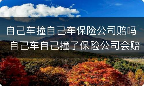 自己车撞自己车保险公司赔吗 自己车自己撞了保险公司会赔吗