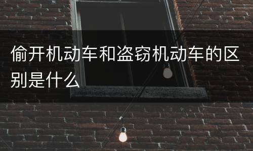 偷开机动车和盗窃机动车的区别是什么