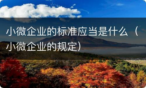 小微企业的标准应当是什么（小微企业的规定）
