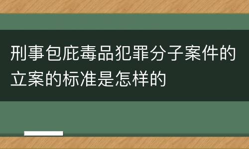 刑事包庇毒品犯罪分子案件的立案的标准是怎样的
