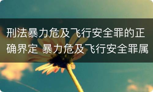 刑法暴力危及飞行安全罪的正确界定 暴力危及飞行安全罪属于