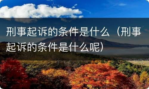 刑事起诉的条件是什么（刑事起诉的条件是什么呢）