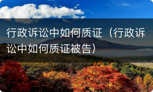 行政诉讼中如何质证（行政诉讼中如何质证被告）