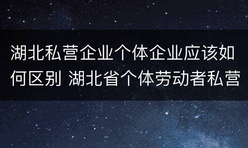 湖北私营企业个体企业应该如何区别 湖北省个体劳动者私营企业协会