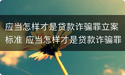 应当怎样才是贷款诈骗罪立案标准 应当怎样才是贷款诈骗罪立案标准呢