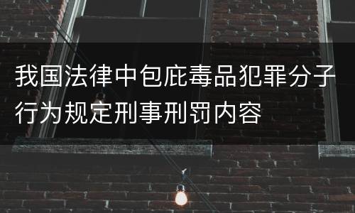 我国法律中包庇毒品犯罪分子行为规定刑事刑罚内容