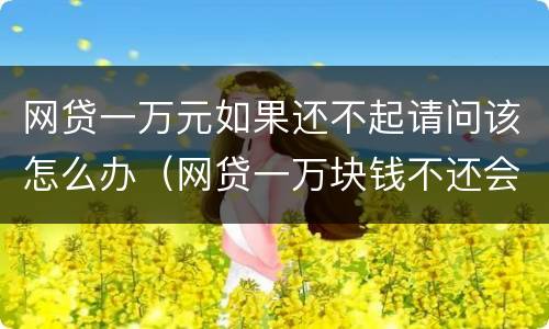 网贷一万元如果还不起请问该怎么办（网贷一万块钱不还会怎样）