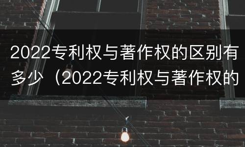 2022专利权与著作权的区别有多少（2022专利权与著作权的区别有多少个）