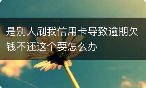 是别人刷我信用卡导致逾期欠钱不还这个要怎么办