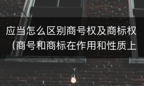 应当怎么区别商号权及商标权（商号和商标在作用和性质上的区别）