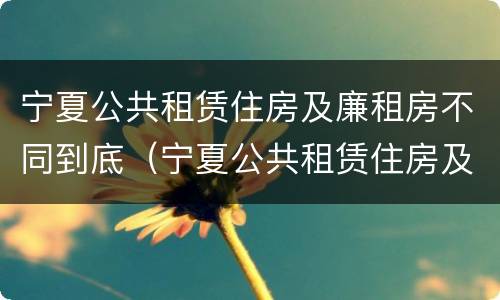 宁夏公共租赁住房及廉租房不同到底（宁夏公共租赁住房及廉租房不同到底的区别）