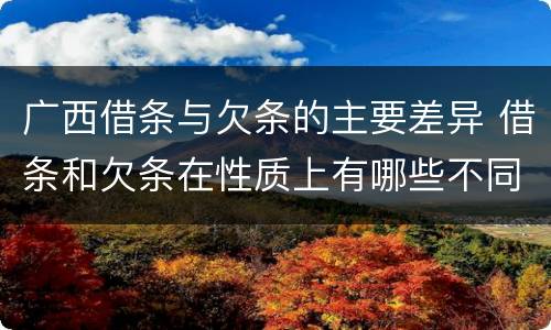 广西借条与欠条的主要差异 借条和欠条在性质上有哪些不同