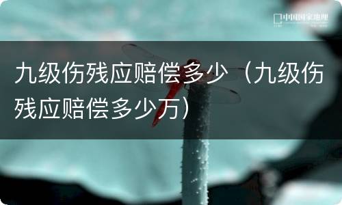 九级伤残应赔偿多少（九级伤残应赔偿多少万）