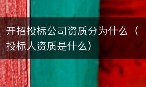 开招投标公司资质分为什么（投标人资质是什么）