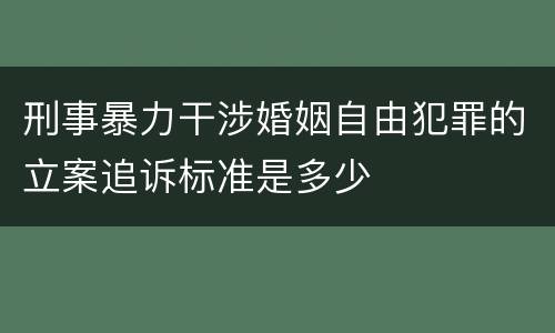刑事暴力干涉婚姻自由犯罪的立案追诉标准是多少
