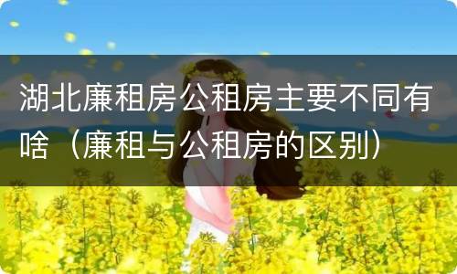 湖北廉租房公租房主要不同有啥（廉租与公租房的区别）