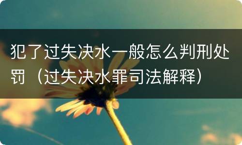 犯了过失决水一般怎么判刑处罚（过失决水罪司法解释）