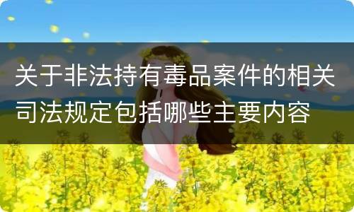 关于非法持有毒品案件的相关司法规定包括哪些主要内容