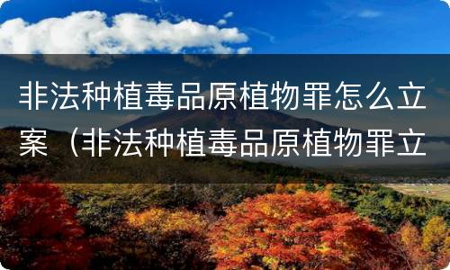 非法种植毒品原植物罪怎么立案（非法种植毒品原植物罪立案追诉标准）