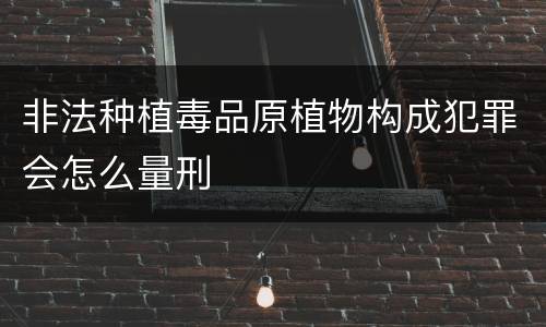 非法种植毒品原植物构成犯罪会怎么量刑