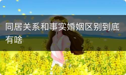 同居关系和事实婚姻区别到底有啥