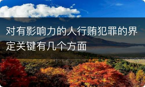 对有影响力的人行贿犯罪的界定关键有几个方面