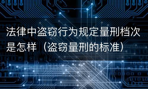 法律中盗窃行为规定量刑档次是怎样（盗窃量刑的标准）