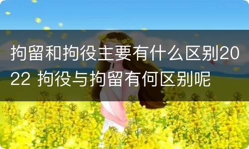拘留和拘役主要有什么区别2022 拘役与拘留有何区别呢