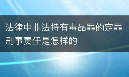 法律中非法持有毒品罪的定罪刑事责任是怎样的
