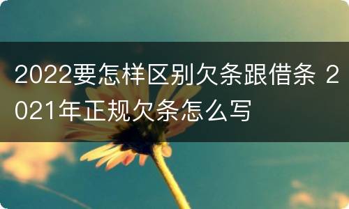 2022要怎样区别欠条跟借条 2021年正规欠条怎么写