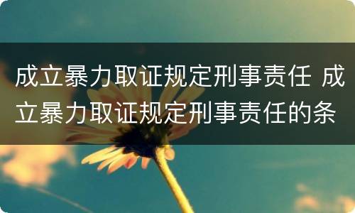 成立暴力取证规定刑事责任 成立暴力取证规定刑事责任的条件